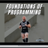 Reactive Training Systems – Foundations of Programming
