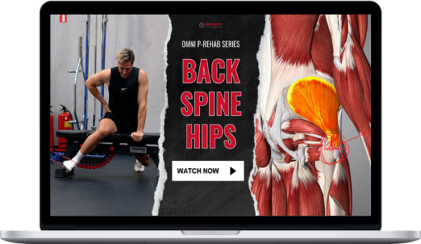 OMNI Body Healthcare – Back, Spine and Hips