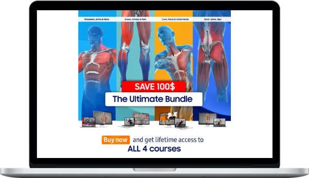 OMNI Body Healthcare – The OMNI P-rehab ULTIMATE Bundle