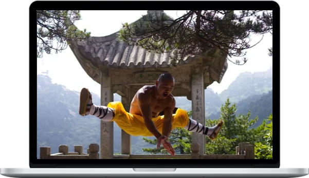 Yan Lei – Transformation 1