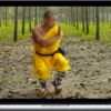 Yan Lei – Rou Quan ( Soft Fist) – Shaolin Tai Chi