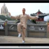Water Dragon Arts – Taoist Yijin Jing Qigong