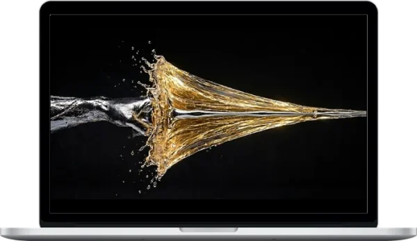 Phoenix Mountain Tai Chi – Internal Power Punch: The Tai Chi Method of Explosive Striking