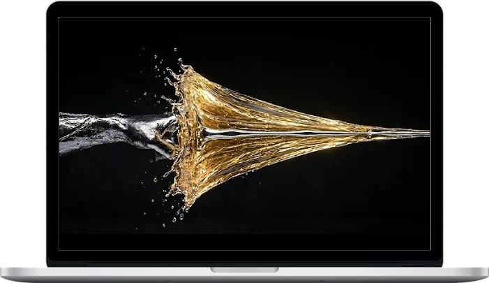 Phoenix Mountain Tai Chi – Internal Power Punch: The Tai Chi Method of Explosive Striking