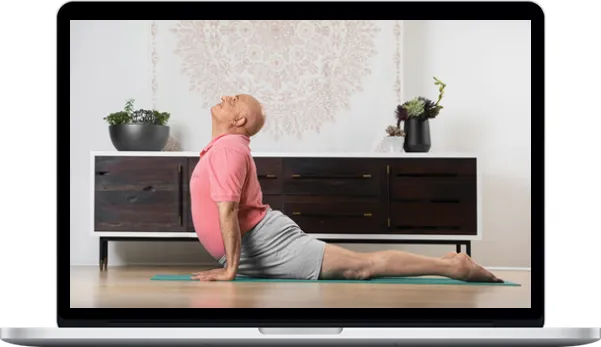 Aadil Palkhivala – Master Class Alignment For Life