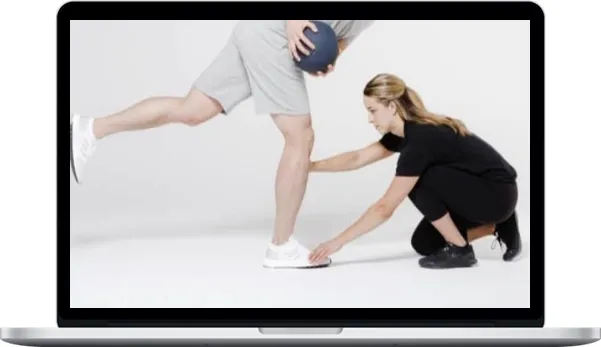 Myodetox - Introduction to Movement Course